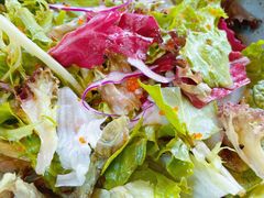 -Hatsune隐泉日式料理(三里屯太古里店)
