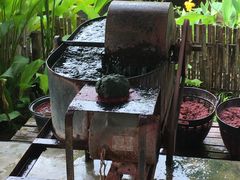 -大象粑粑造纸公园