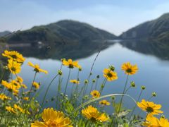-长沙黑麋峰国家森林公园