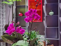 -心足私家足疗SPA(海岸城店)