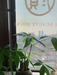 -颜居屋科技美肤