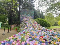 -上海共青森林公园