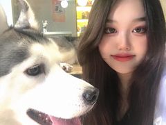 小苹果-Husky Go! 哈士奇体验馆·宠物咖啡厅狗咖