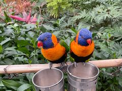 -南宫五洲植物乐园