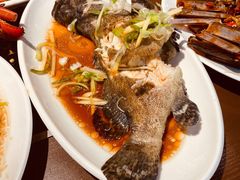 石斑-盒马鲜生(公园1903店)