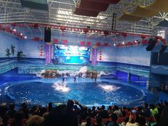 -多彩贵州城极地海洋世界