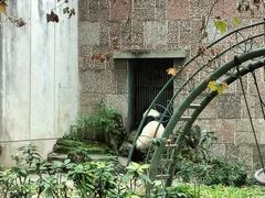 -成都动物园