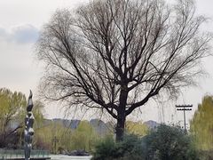 -西安曲江寒窑遗址公园
