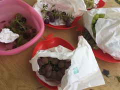 -马陆小张葡萄园农家乐