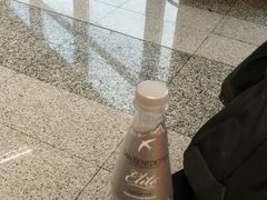 -米兰马尔彭萨国际机场