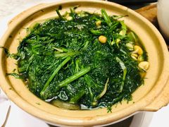 老汤茴香豆嘴-同乐馆(阳光店)