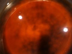 -吉野家(红博中央公园店)