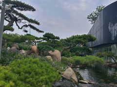 -罗红摄影艺术馆