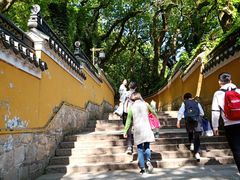 -普陀山风景名胜区-法雨禅寺