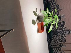 -大鸭梨烤鸭·北京菜(南小街/南苑店)