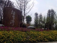 -白鹭湾湿地公园