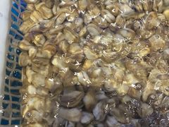 -启东小海鲜(庄先湾路1号店)