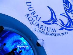 -迪拜水族馆及水下动物园