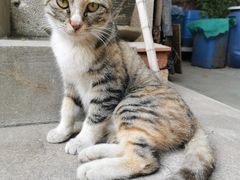 -吾里.春川家韩国料理(万达店)