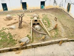 -武汉紫薇都市田园