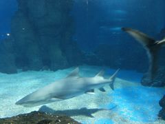 -常州海昌海洋探索馆