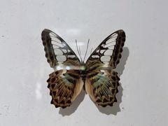 -杭州野生动物世界