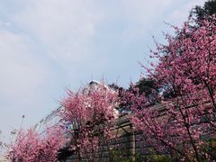-佛图关公园