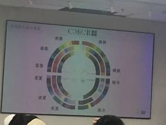 -四季美学色彩形象管理服装搭配