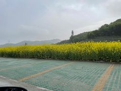 -中国湿地博物馆