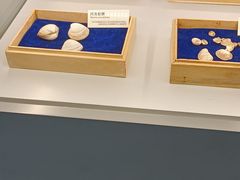 -天津古林古海岸遗迹博物馆