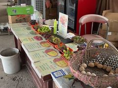 -马陆小张葡萄园农家乐