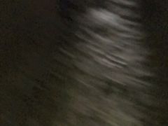 塔內-吉萨金字塔群