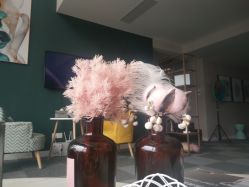 -汐月Health纤体spa中心