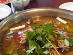 -胡巷子泡椒火锅兔(东街店)