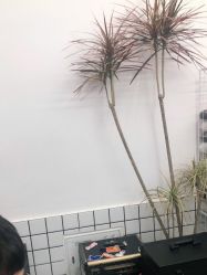 -宫铭烫发染发接发店