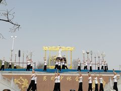 -少林寺欢喜地素斋馆