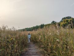 -西青郊野公园