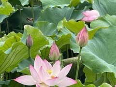 -丝绸小镇荻港古村