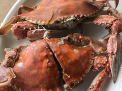 -胖大嫂渔家排档·全海景餐厅(渔村店)