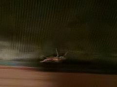 -西安华清御汤酒店