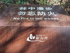 -铁山坪森林公园