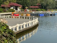 -塘沽森林公园