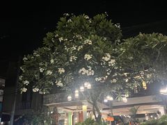 -乌布德传统市场