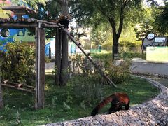 -鄂尔多斯野生动物园