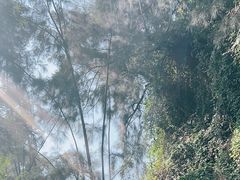 -华侨城湿地公园