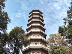 -灵谷景区