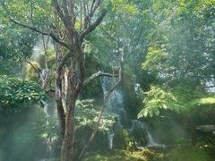 -Chom Cafe and Restaurant