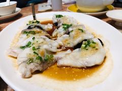 古法龙趸腩蒸球-金玉满堂潮州酒楼(无限极荟购物广场店)