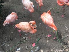 -萧山德纳MAX影城