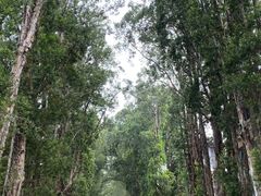 -广东外语外贸大学(白云山校区)